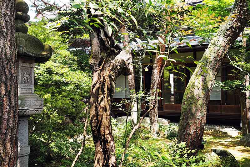 In den japanischen Alpen - Travelisto - Familien-Reiseblog